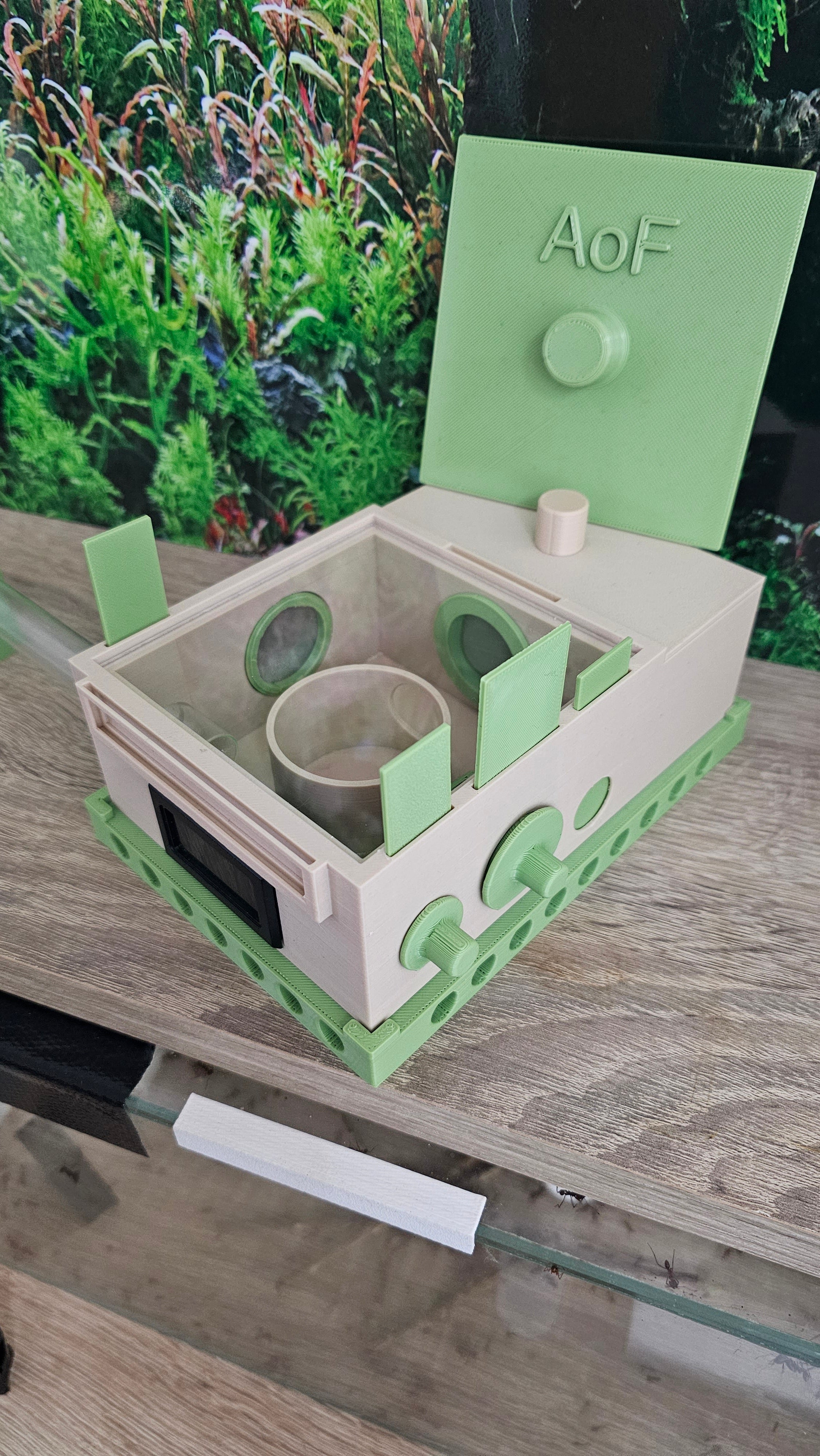 Aufzuchtsbox/Nest für kleine Kolonien