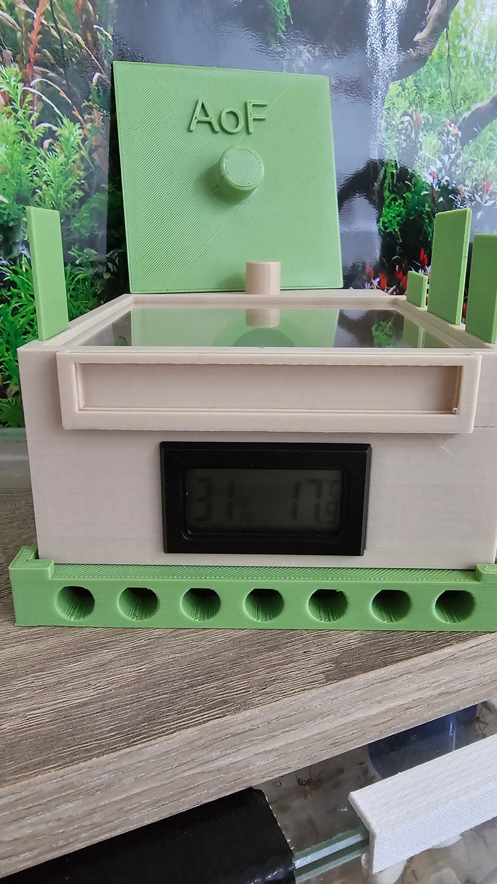 Aufzuchtsbox/Nest für kleine Kolonien