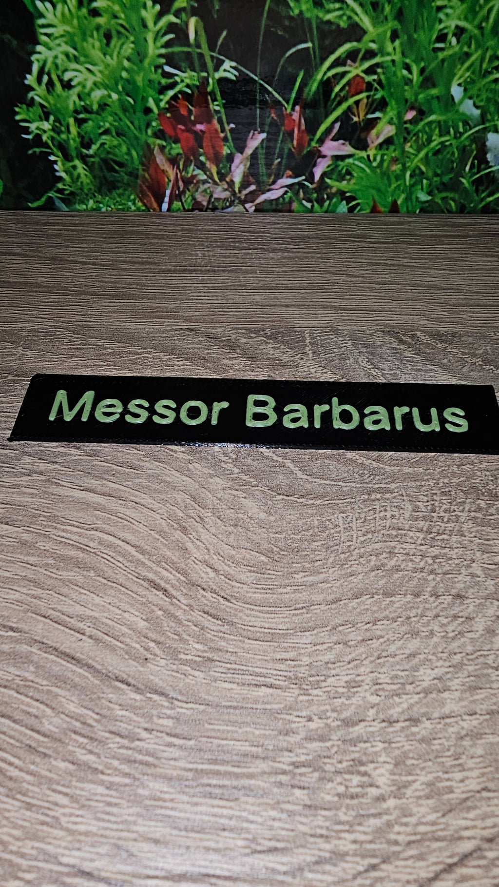 Namensschilder Ameisen