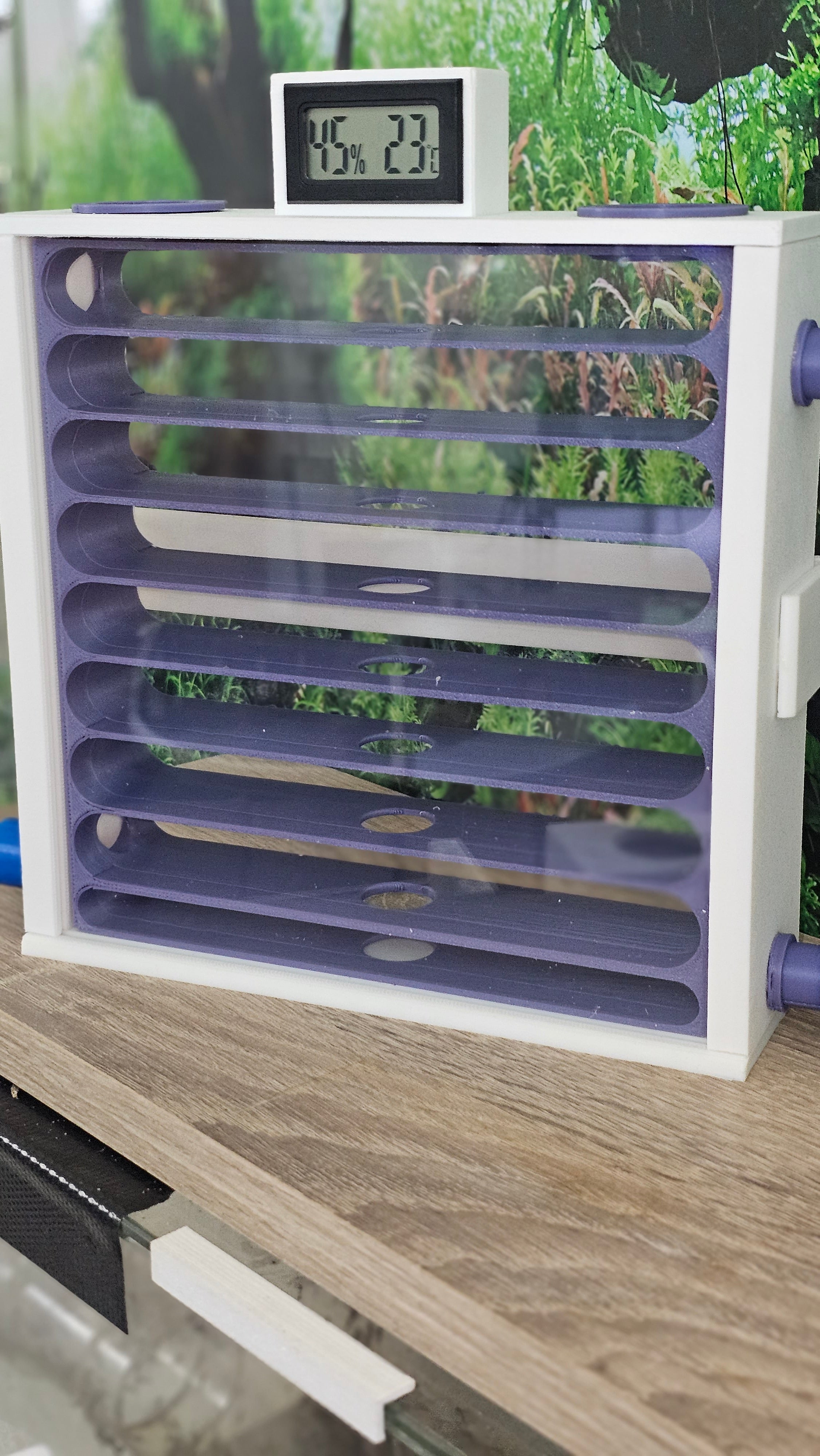 Großes Nest mit Inlay